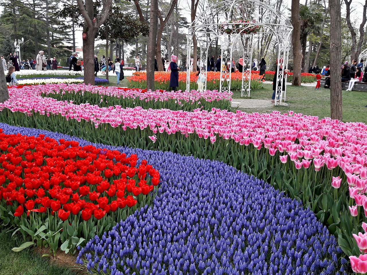 Tulip festival in April Tulip festival