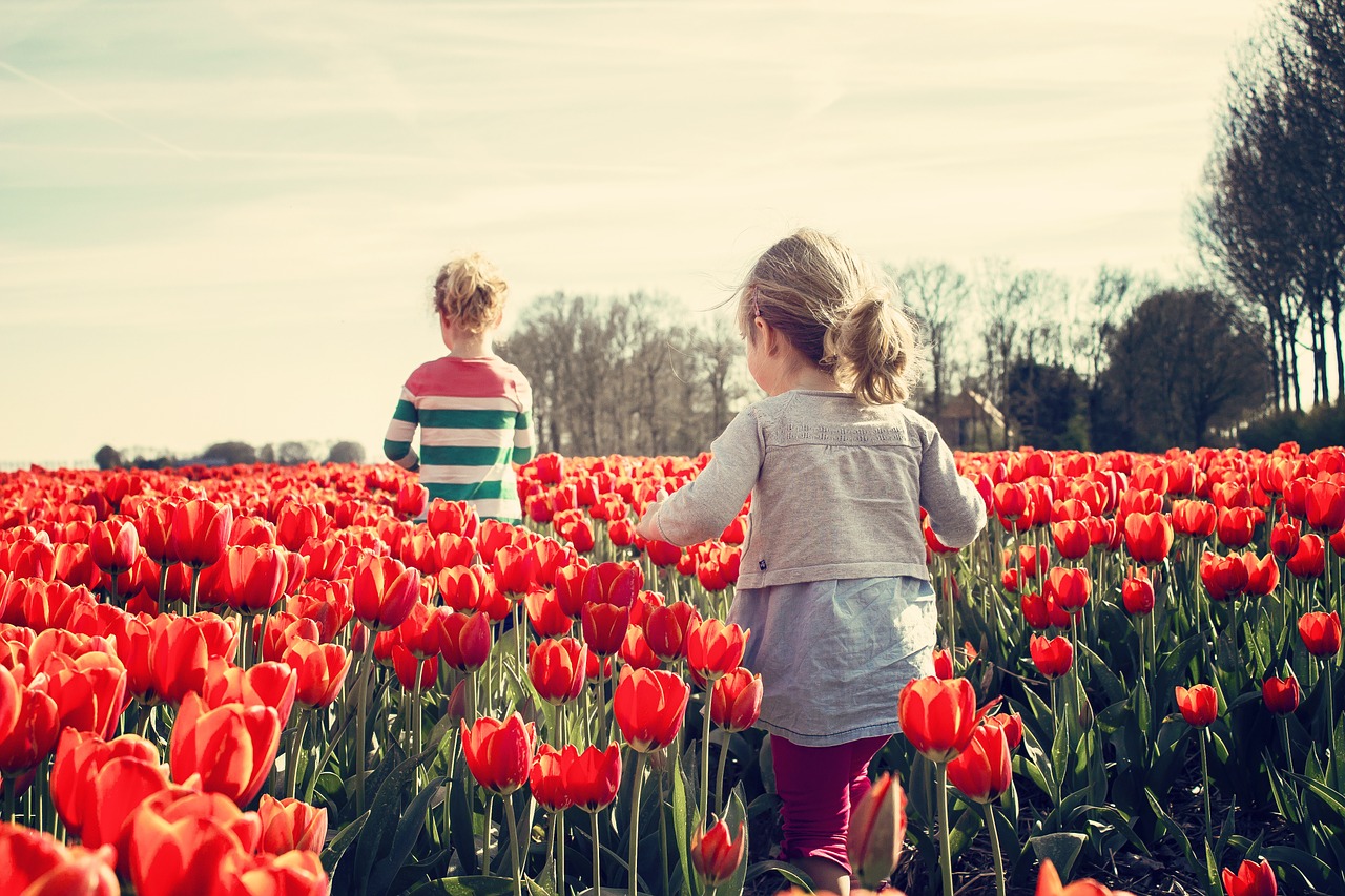 Tourists at Tulips Festival in Srinagar Tourists at Tulip Garden