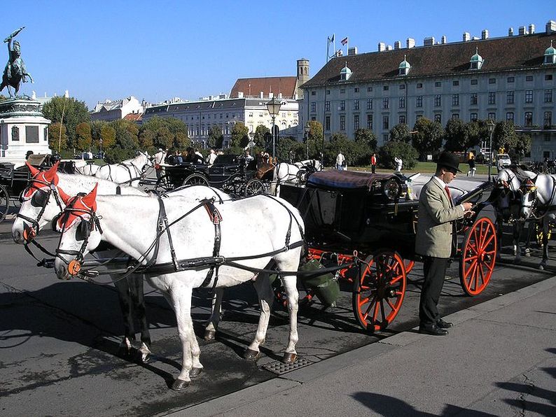 International valentine day celebration at Vienna