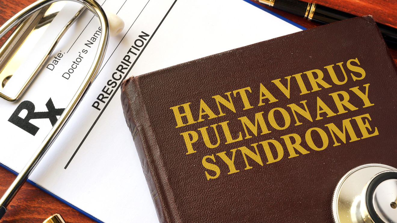 Hantavirus disease