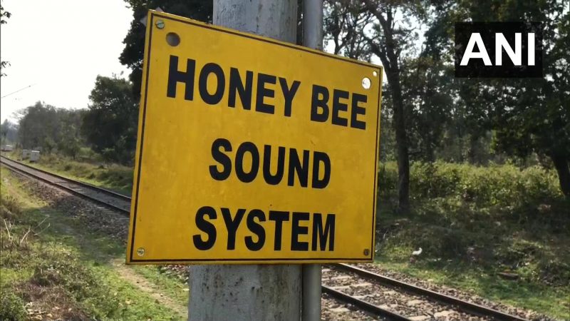 Indian Railways to install Honey Bee sound System on Tracks