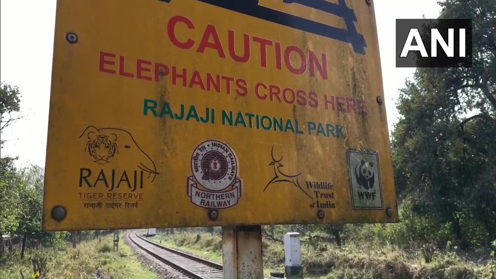 Honey bee system at Rajaji National Park 