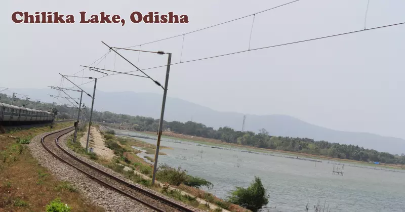 Chilika Lake, Odisha
