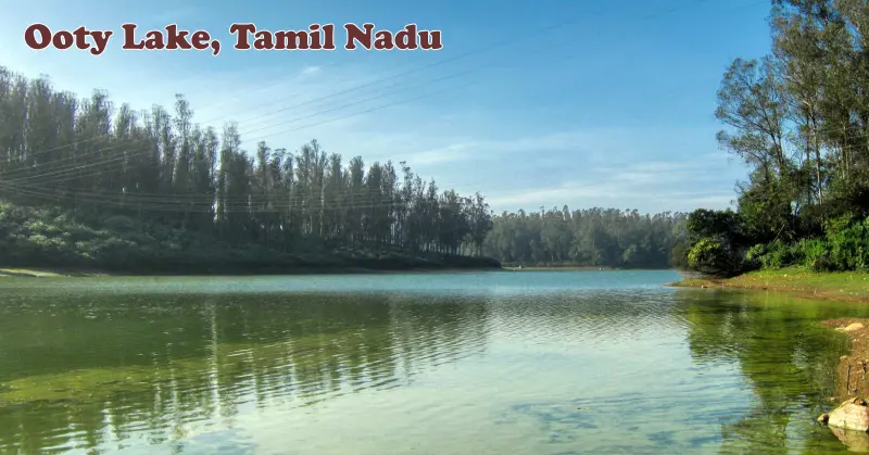 India's beautiful Ooty Lake, Tamil Nadu