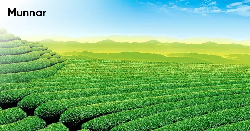 Trekking Place in India -Munnar