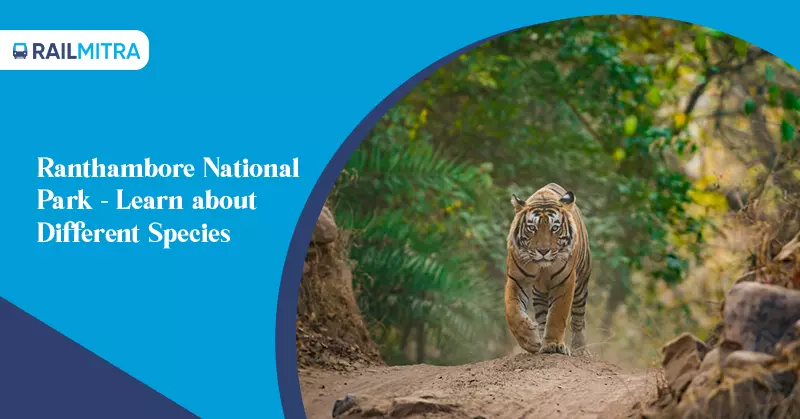 Ranthambore National Park - Learn about Different Species