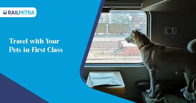 Hacks to Travel by Indian Railways with Your Pets in First Class