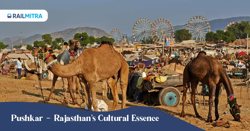 Pushkar - Rajasthan's Cultural Essence