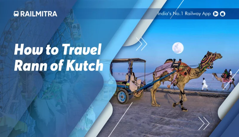Crucial Tips: How to Travel Rann of Kutch