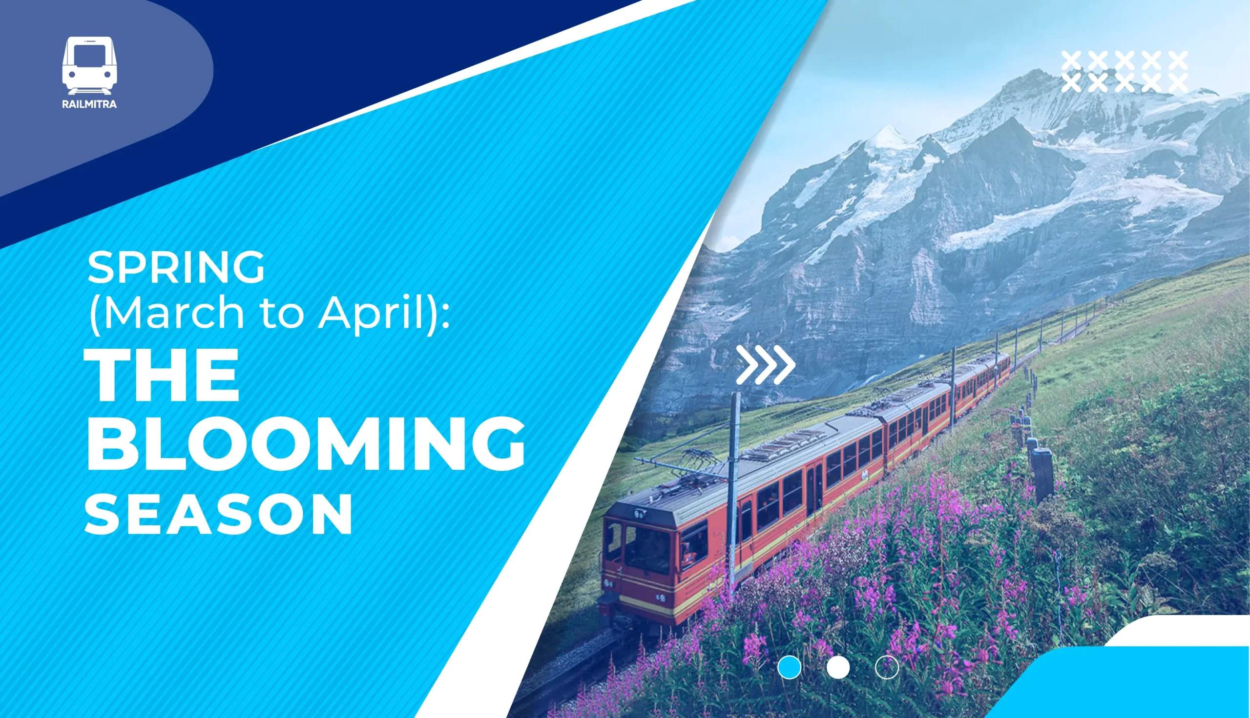 Spring (March to April): The Blooming Season